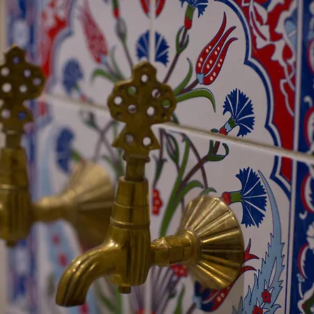 Ruba Palace Thermal Bursa